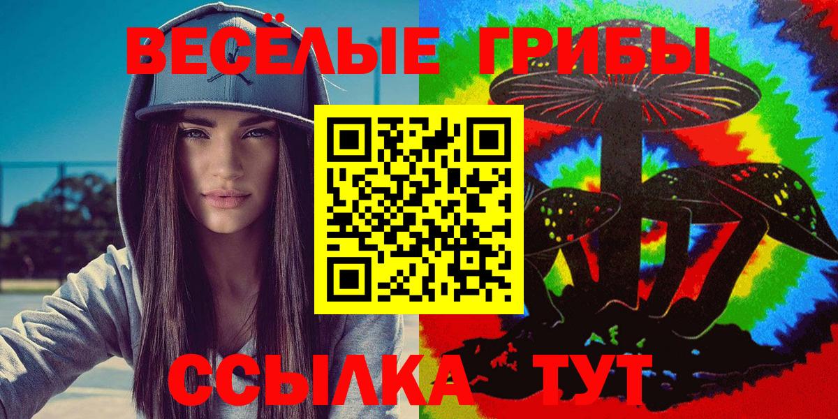 Галлюциногенные грибы Cubensis Щёлково