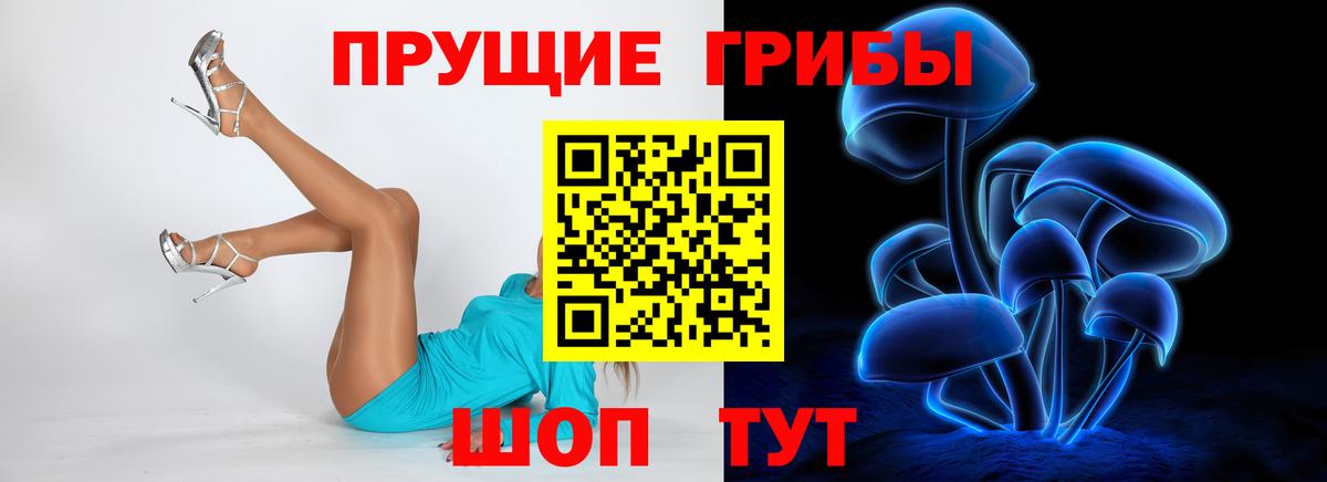 Галлюциногенные грибы Cubensis  Вход с VPN  Щёлково 